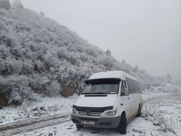 посуточная аренда машина: Каракол, Кордай көзөмөл-өткөрүү пункту, Регион боюнча Бус, Автобус | 17 орундук