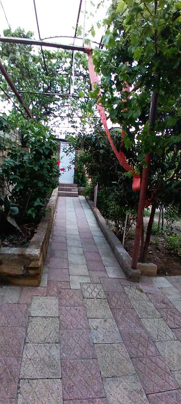 imislide ev satilir: Salam ev Sulutəpədə yerləşir 4 otag tam təmirli 3,8 sotun içində — 7
