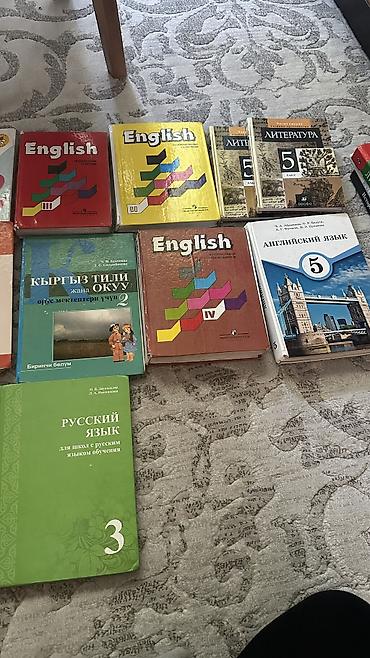 совы: Подборка школьных учебников и пособий для начальных и средних классов — 2