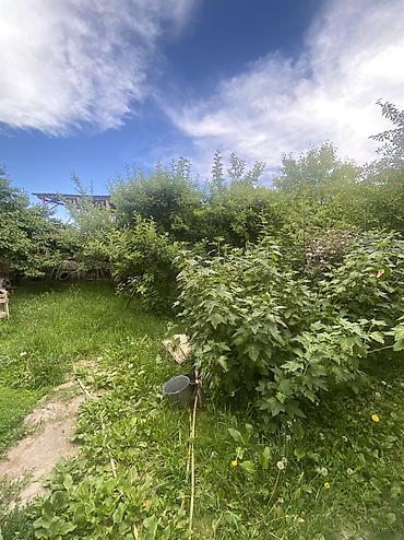 Продажа коттеджей и домов: Продается дом 📍 в городе Чолпоната…благоустроенный район Чкалова… — 2