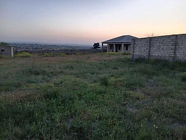 Torpaq sahələrinin satışı: Tikinti, Mülkiyyətçi — 17