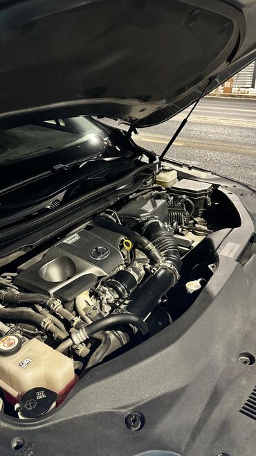 Lexus: Lexus RX: 2021 г., 3.5 л, Автомат, Бензин, Кроссовер — 8