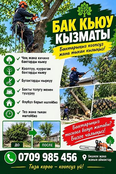 Бактарды кыюу, отундарды даярдоо: Жаанын 18 м, 250 т — 1