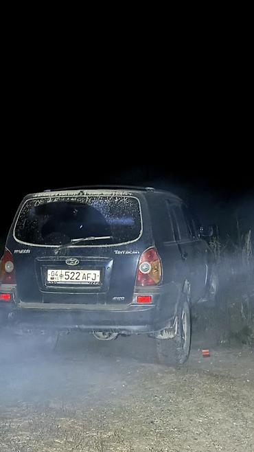трекер авто: Hyundai Terracan: 2004 г., 2.9 л, Автомат, Дизель, Внедорожник — 3