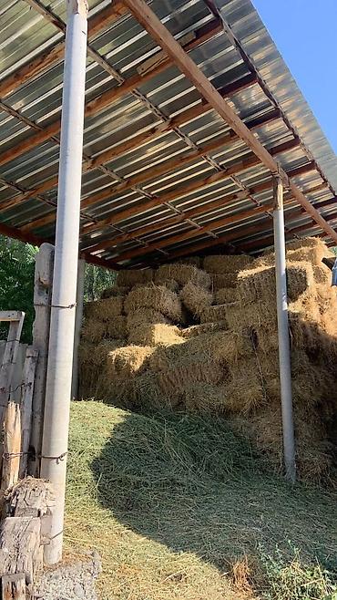 Продажа коттеджей и домов: Срочно үй сатылат Үй Панфилов районунун Панфиловка айылында — 14