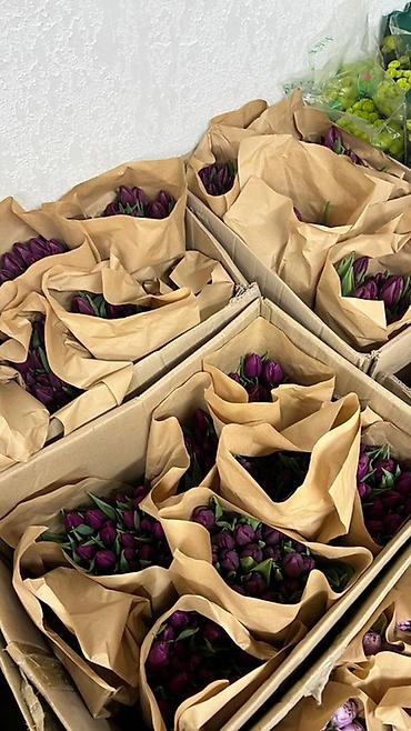 Букеты из живых цветов: Тюльпаны в букете-миксе - Срезанные тюльпаны в крафт-упаковке — 1