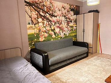 flat in kant: 2 комнаты, Карпинка Собственник, Семейным, от 6 месяцев, С мебелью полностью — 5
