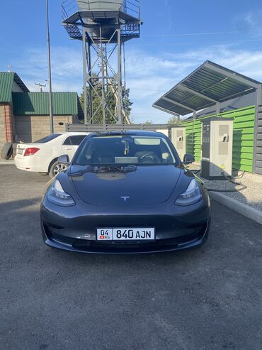 тесла автомобил: Tesla Model 3: 2020 г., Автомат, Электромобиль