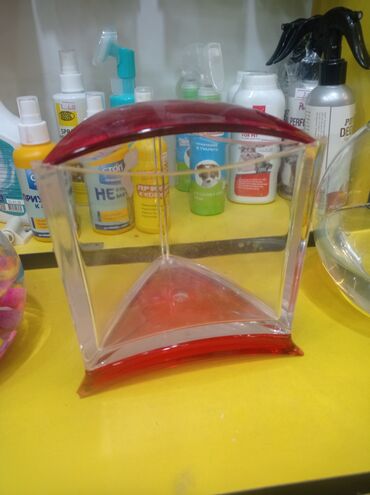 rəngli balıqlar: Yumru akvarium, 1 l, Ünvandan götürmə, Pulsuz çatdırılma, Ödənişli çatdırılma