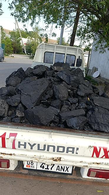 рыбый жир: Эң жакшы таза комурлор бар маркай комуурлору гарантия кепилдик бар — 1