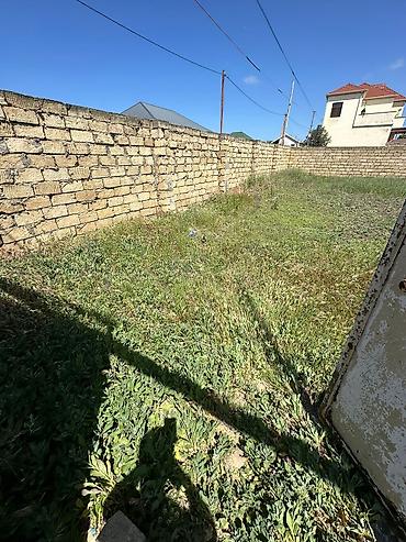 mehdabat: 4 sot, Kənd təsərrüfatı, Maklerlər narahat etməsin, Kupça (Çıxarış) — 4