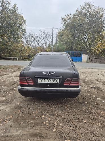 panarama arxa stop: Mercedes-Benz 230: 2.3 l | 1996 il Sedan — 6