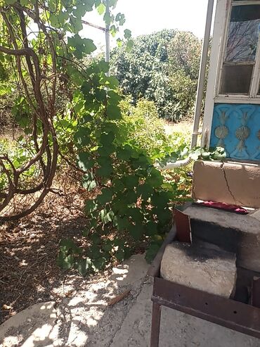 Otaqların satışı: Naxcvan qaracuq qesebesi mecidin yanda duz asfaltin qiraqnda 17sotda — 7