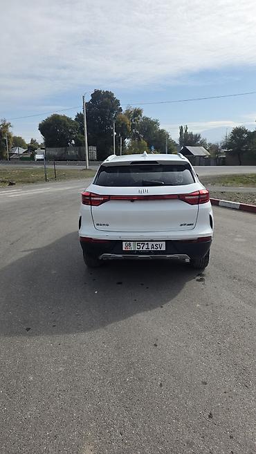 carnival 2017: JMEV : 2022 г., Автомат, Электромобиль, Кроссовер — 6