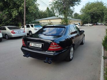 мерс зайчик: Mercedes-Benz S-Class: 1999 г., 3.2 л, Автоматические, Бензин, Седан
