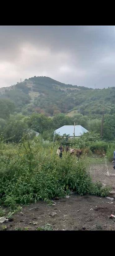 Torpaq sahələrinin satışı: Kənd təsərrüfatı — 4