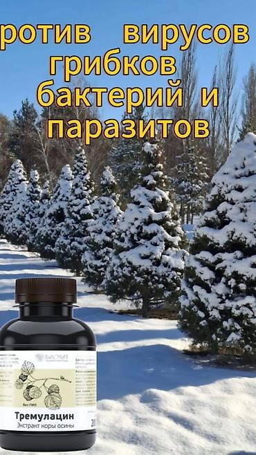 Мед. товарлар: Эко продукция компании Биолит на основе трав горного Алтая — 8