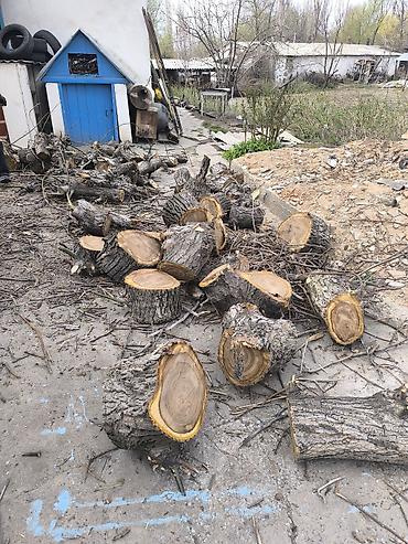 Дрова: Дрова Орех, Самовывоз — 8