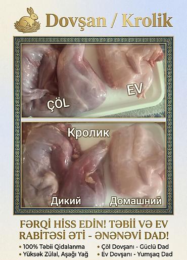 qus bazari: Çöl Dovşanı Əti 1 kq = 20 ₼. Ev Dovşanı 1 kq = 18 ₼. Sifarişlə — 5