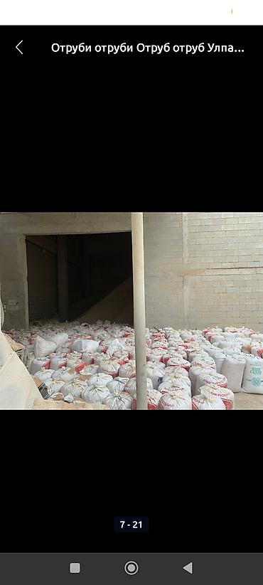 Корма для с/х животных: Улпак отруби кебек оптом - Натуральные отруби крупного и среднего — 15