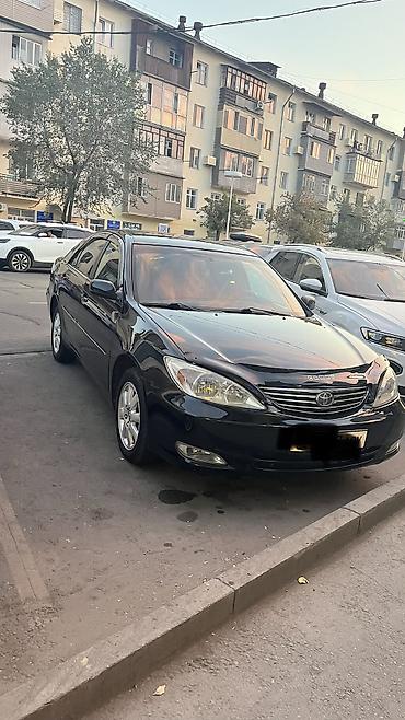 tayota progres: Toyota Camry: 2003 г., 2.4 л, Автомат, Бензин, Седан — 1