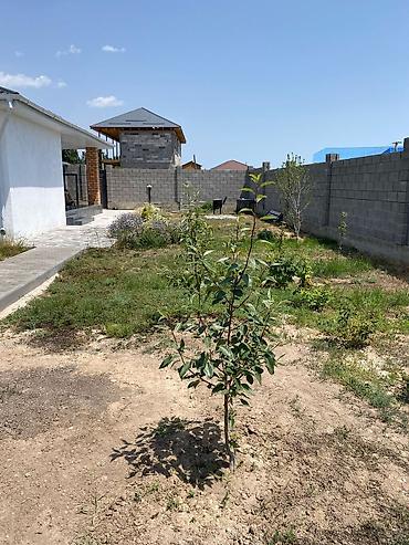 Продажа коттеджей и домов: Продается дом в селе Чон-сарыой дом расположен со стороны озера, до — 25