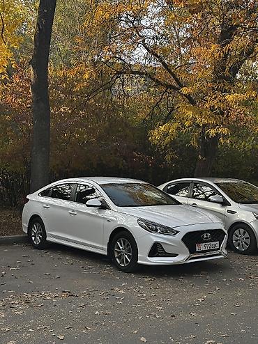 авто hyundai sonata: Hyundai Sonata: 2020 г., 2 л, Автомат, Газ, Седан — 3