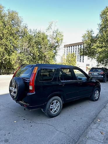 g 30: Honda CR-V: 2003 г., 2.4 л, Автомат, Газ, Внедорожник — 8