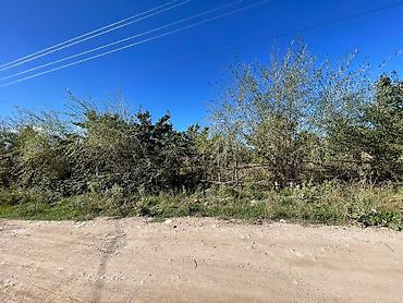 Продажа участков: Продаётся сад ( яблоня, груша абрикосы ) 10 соток в селе Жениш — 4