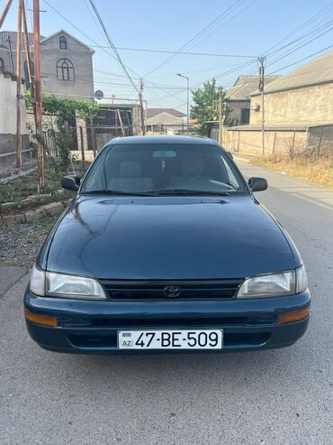 ordubad masin elanlari: Toyota Corolla: 1.6 l | 1996 il Sedan