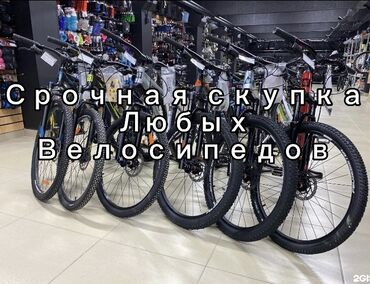 скупка велосипедов: Срочно скупаю любые велосипеды По приемлемой цене Скупаю оптом и в