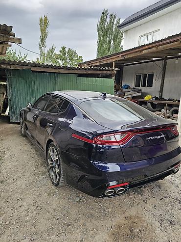 киа стрингер: Kia Stinger: 2021 г., Лифтбек — 1