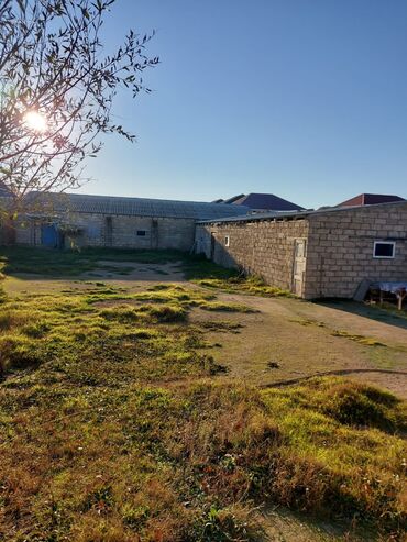 Bağ evlərinin satışı: Bakı, Qala qəs., 550 kv. m, 3 otaqlı, Hovuzsuz, Artezian quyusu, Qaz, Su — 2