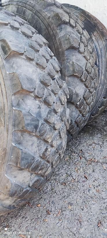 44 2: Шины внедорожные KAMA 425/85R21 (радиальные) - Производитель: KAMA - — 1