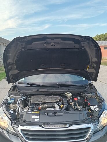 Peugeot: Peugeot 308: 1.6 l | 2017 г. 246700 km Hečbek — 11