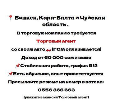 работа торговым представителем: Требуется Торговый агент, График: Пятидневка, 1-2 года опыта, Карьерный рост, Полный рабочий день — 1