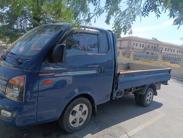 жеңил жүк ташуучу унаа: Жеңил жүк ташуучу унаа, Hyundai, Стандарт