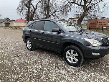 Lexus: Lexus RX: 2004 г., 3.3 л, Автомат, Газ, Кроссовер — 5