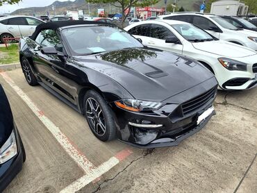Ford: Ford Mustang: 2021 г., 2.3 л, Автомат, Бензин, Кабриолет