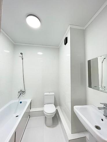 сириус плюс: 1 комната, 47 м², Золотой квадрат 10 этаж — 5
