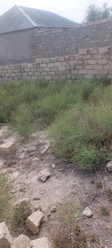 Torpaq sahələrinin satışı: 8 sot, Mülkiyyətçi, Bələdiyyə — 7