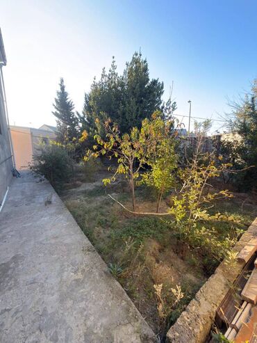 Həyət evləri və villaların satışı: Suraxanı 4 otaqlı, 200 kv. m, Kredit yoxdur, Yeni təmirli -da lalafo.az — 13 Həyət evləri və villaların satışı: Suraxanı 4 otaqlı, 200 kv. m, Kredit yoxdur, Yeni təmirli — 13