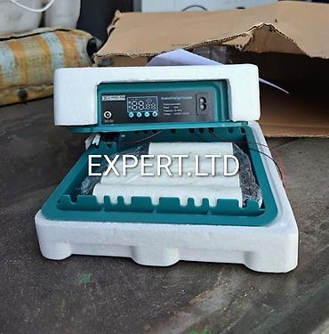 İnkubatorlar: Çin, Fabrik istehsalı, Tam avtomat, Bütün növ quşlaq üçün — 30