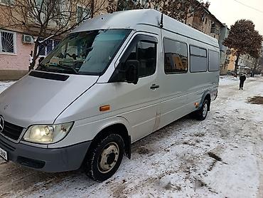 Mercedes-Benz: Mercedes-Benz Спринтер: 2004 г., 2.9 л, Механика, Дизель, Бус — 6