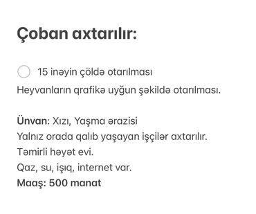 qocalar evi vakansiya: Çoban axtarılır: - 15 inəyin çöldə otarılması Heyvanların qrafikə