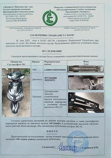 kaiyi e5: Скутер WANGYA, черный - Тип: бензиновый скутер с вариатором (CVT) - — 5