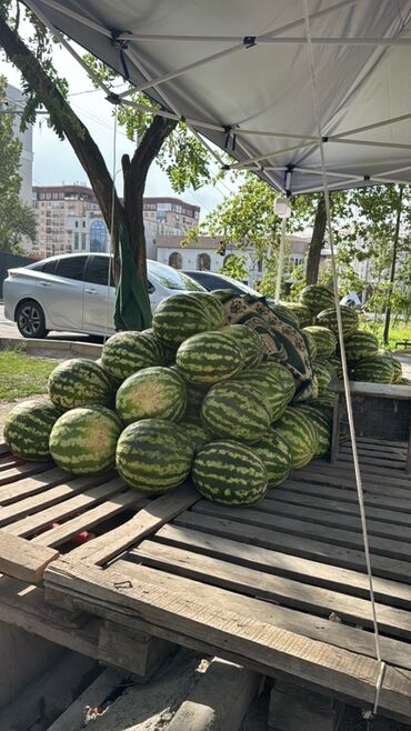 Аренда самосвала: Услуги экскаватора и самосвала HOWO 6x4 (трехосный) - Вывоз и подвоз — 8