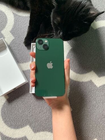 Apple iPhone: IPhone 13, Б/у, 256 ГБ, Alpine Green, Зарядное устройство, Защитное стекло, Чехол, 86 %