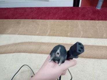 Monitorlar: Samsung Manitor 3 Ay işlənib Yeni kimi
55-50 manat -da lalafo.az — 9 Monitorlar: Samsung Manitor 3 Ay işlənib Yeni kimi
55-50 manat — 9