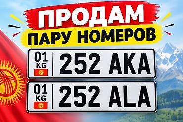 2 птс: Два номера для семьи 252 ALA и 252 AKA (регион 01 KG). - Формат — 1